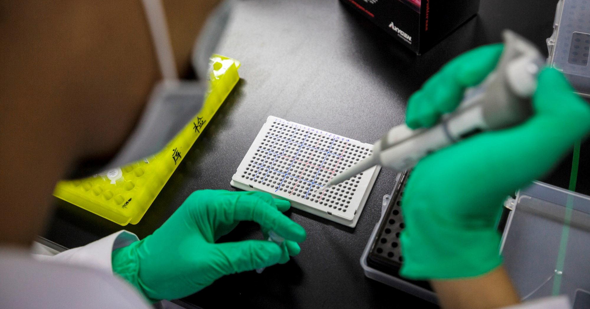 Skriveno nasljeđe: Osam posto ljudskog genoma potječe od drevnih virusa