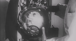 Prije 64 godine Lajka je otišla u svemir, Rusi danas priznaju: Umrla je u mukama