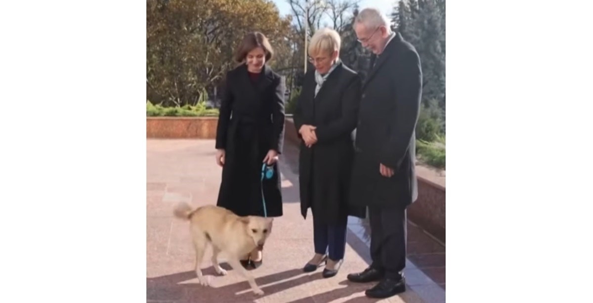 Pas moldavske predsjednice, koji je ugrizao austrijskog predsjednika, vratio se kući