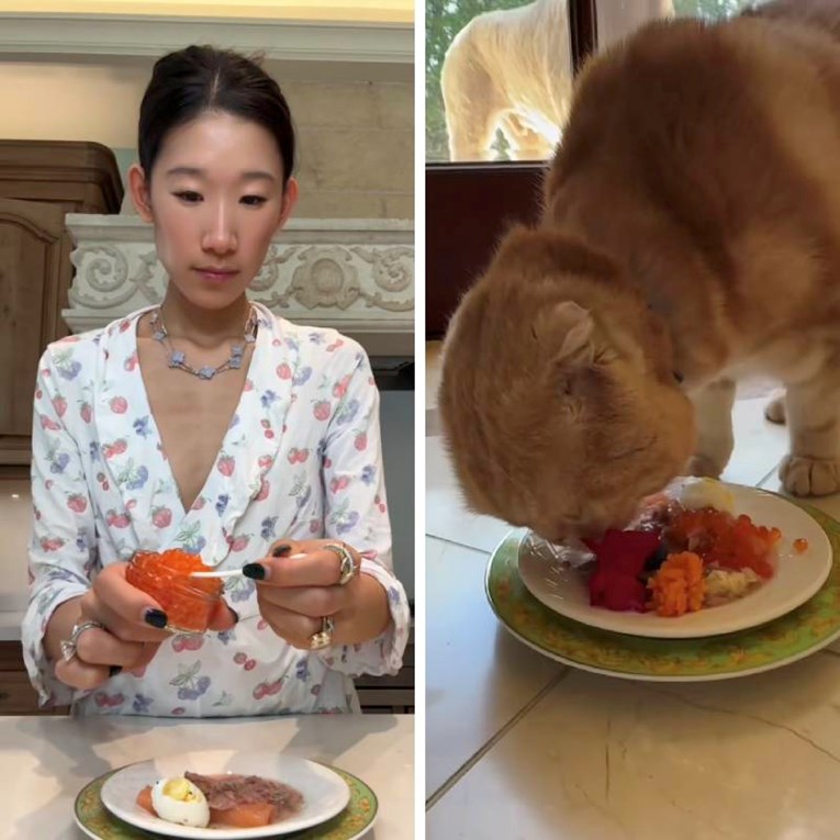 Tiktokerica je svojoj mački za doručak dala kavijar, nedavno ju je i krstila 