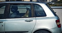 FOTO Psa ostavili u vrućem automobilu u Rijeci