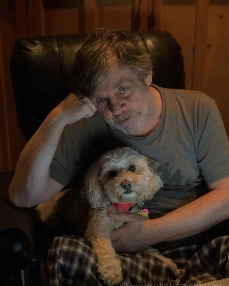 Mark Hamill opisao svoj bijeg od požara: "Vatra je bila s obje strane ceste"