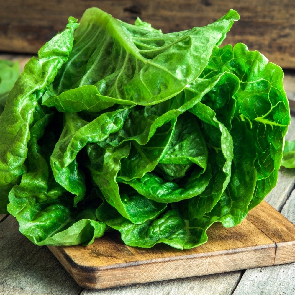 Kako da zelena salata ostane svježa i hrskava više dana u hladnjaku?
