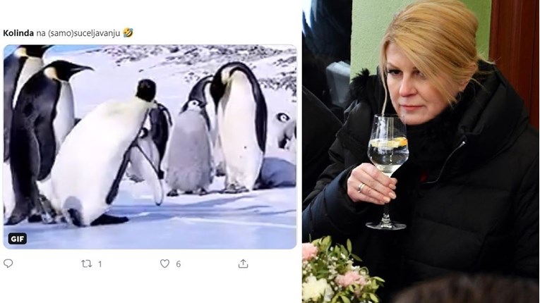 Twitter se sprda s Kolindom: Poslušni birači iz BiH ne znaju koga sad zaokružiti