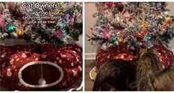 Tiktokerica našla rješenje kako da mačke ne skaču po božićnom drvcu, video je hit