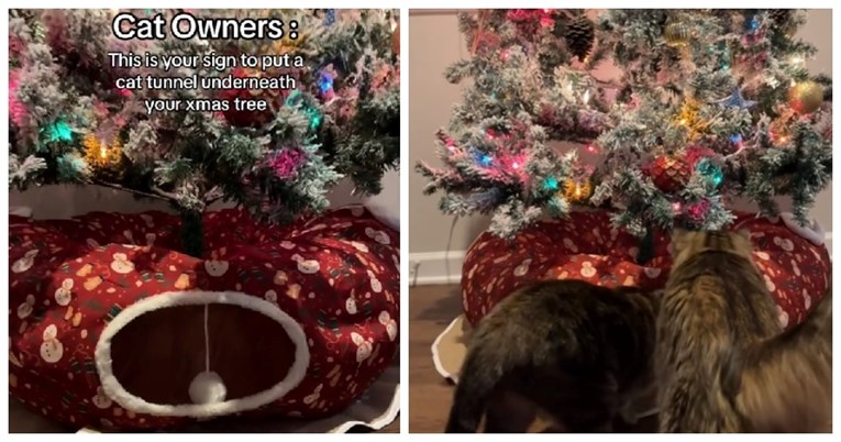 Tiktokerica našla rješenje kako da mačke ne skaču po božićnom drvcu, video je hit