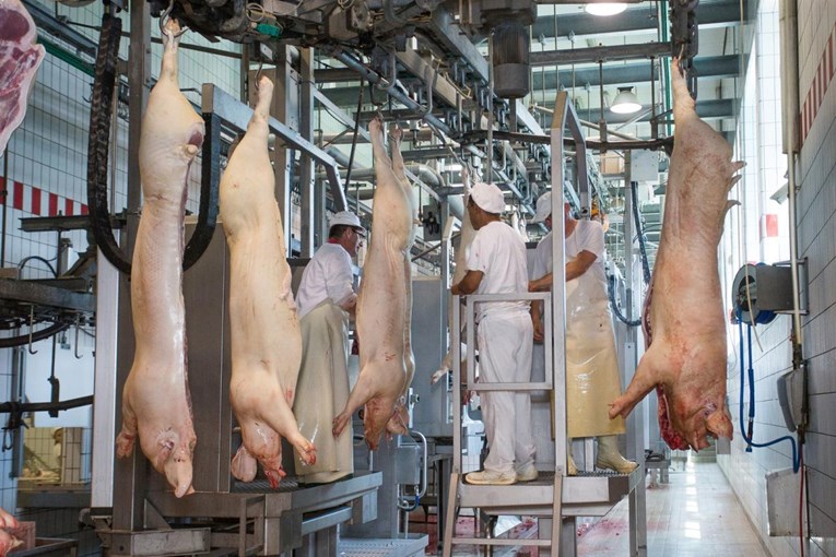 Žito preuzelo 51% mesne industrije Ravlić