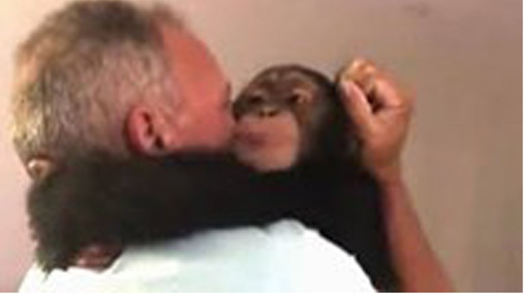 Pogledajte reakciju majmuna kada je vidio čovjeka koji ga je spasio