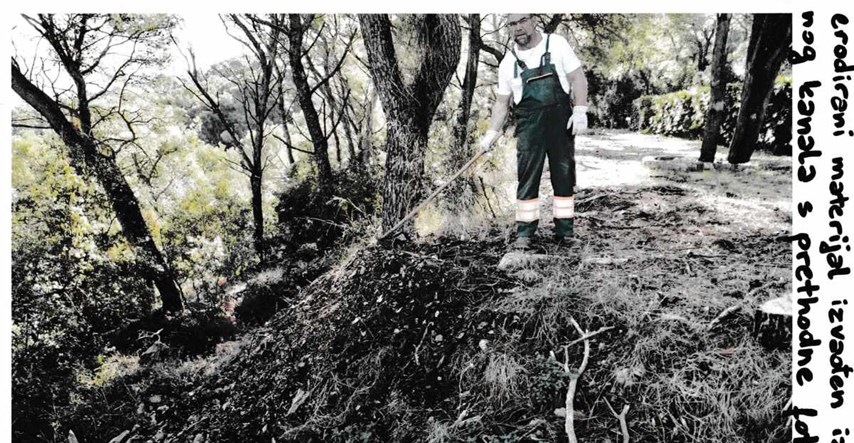 Na splitskom Marjanu posječeno 38 tisuća stabala. Prijeti nova katastrofa