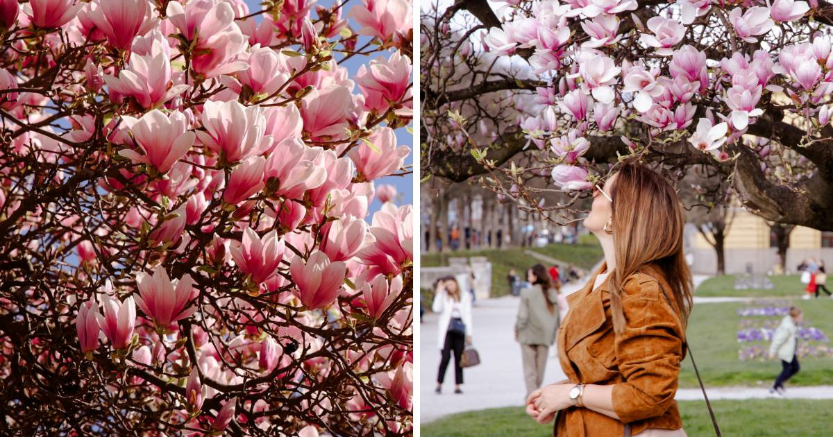 FOTO Proljeće je stiglo u Zagreb 😍