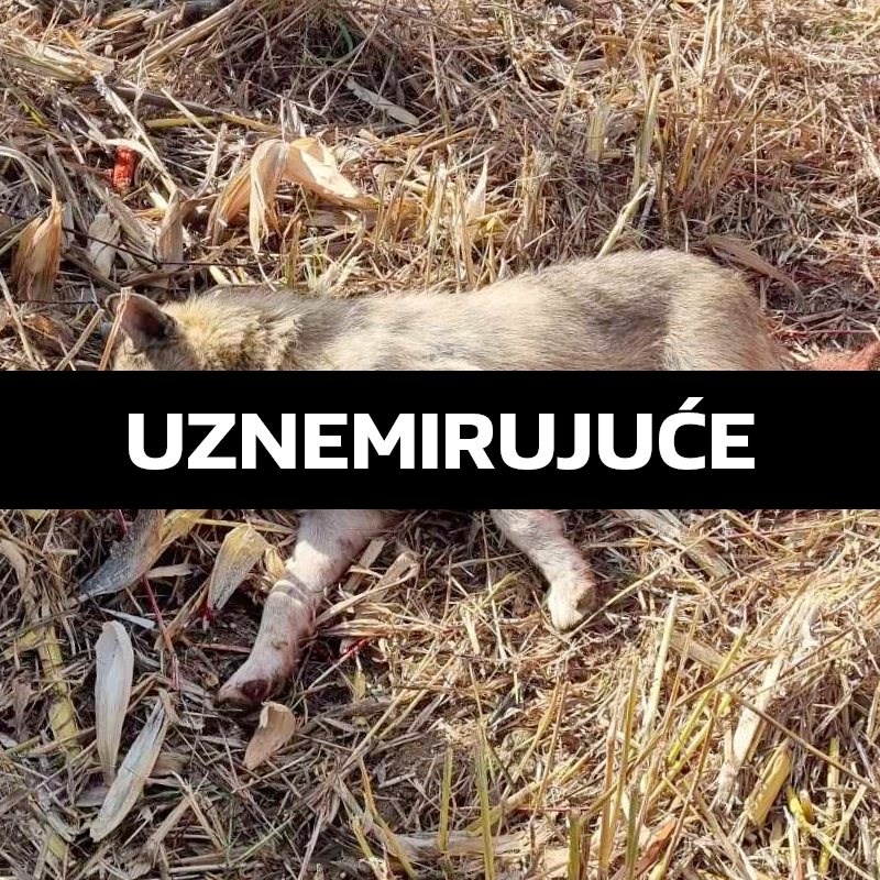 Kombajnom kod Varaždina namjerno pregazio psa