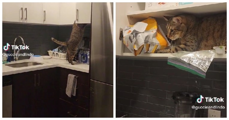 VIDEO Nisu mu htjeli dati drugi obrok za večeru pa se odlučio poslužiti sam