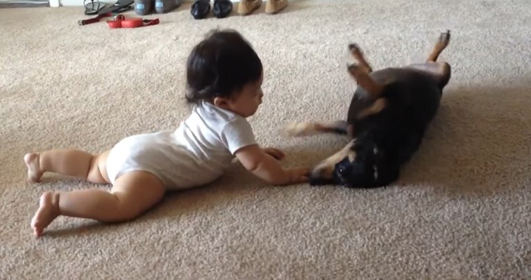 Beba se prvi put susrela sa psićem, pogledajte kako je to izgledalo