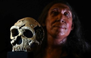 FOTO Rekonstruirano lice neandertalke od prije 75.000 godina