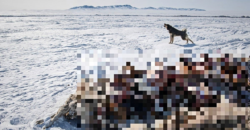 Ekstremna zima u Mongoliji, uginulo gotovo 5 milijuna životinja