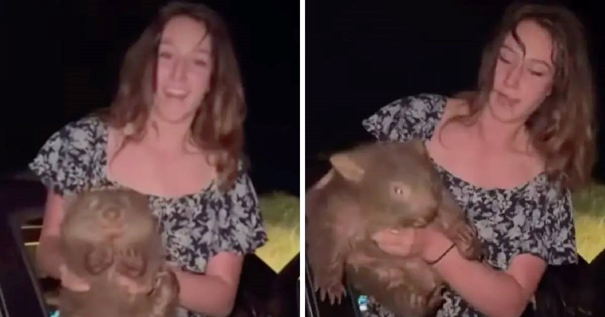 Amerikanka naljutila ljude snimkom na kojoj uzima bebu vombata od majke i snima se