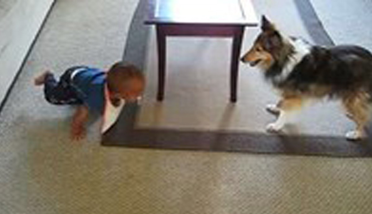 Preslatka beba se ne može prestati smijati svome psu