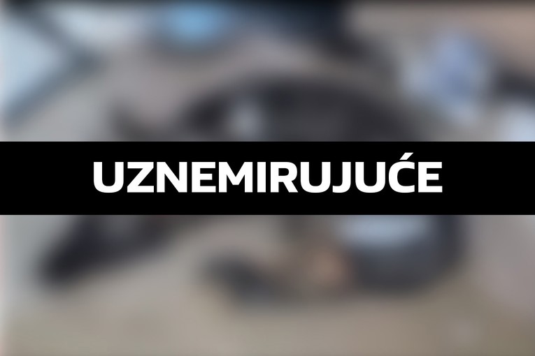 UZNEMIRUJUĆE Vatrogasac u RH nasmrt mučio pse. Šef JVP-a osudio "i nasilje i linč"