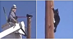 VIDEO Vatrogasci došli spasiti mačku sa stupa, pogledajte što im je ona napravila