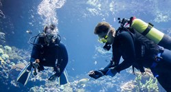 Nizozemski ZOO radi na koraljnoj "Noinoj arki" da bi očuvao ugrožene grebene