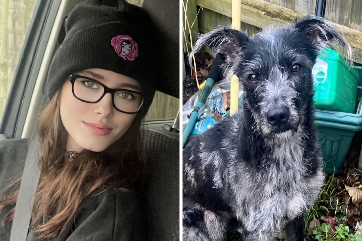 Obiteljski pas usmrtio djevojku (19) u Engleskoj. Policija objavila nove detalje