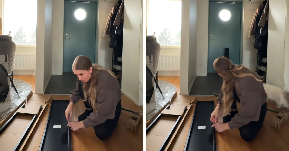 Žena je slagala policu, nije ni očekivala da će snimiti luckasto ponašanje svog mačka