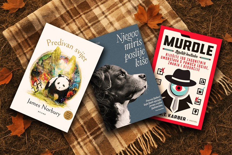 Najčitanije knjige u listopadu: Hrvati poludjeli za financijskim priručnikom