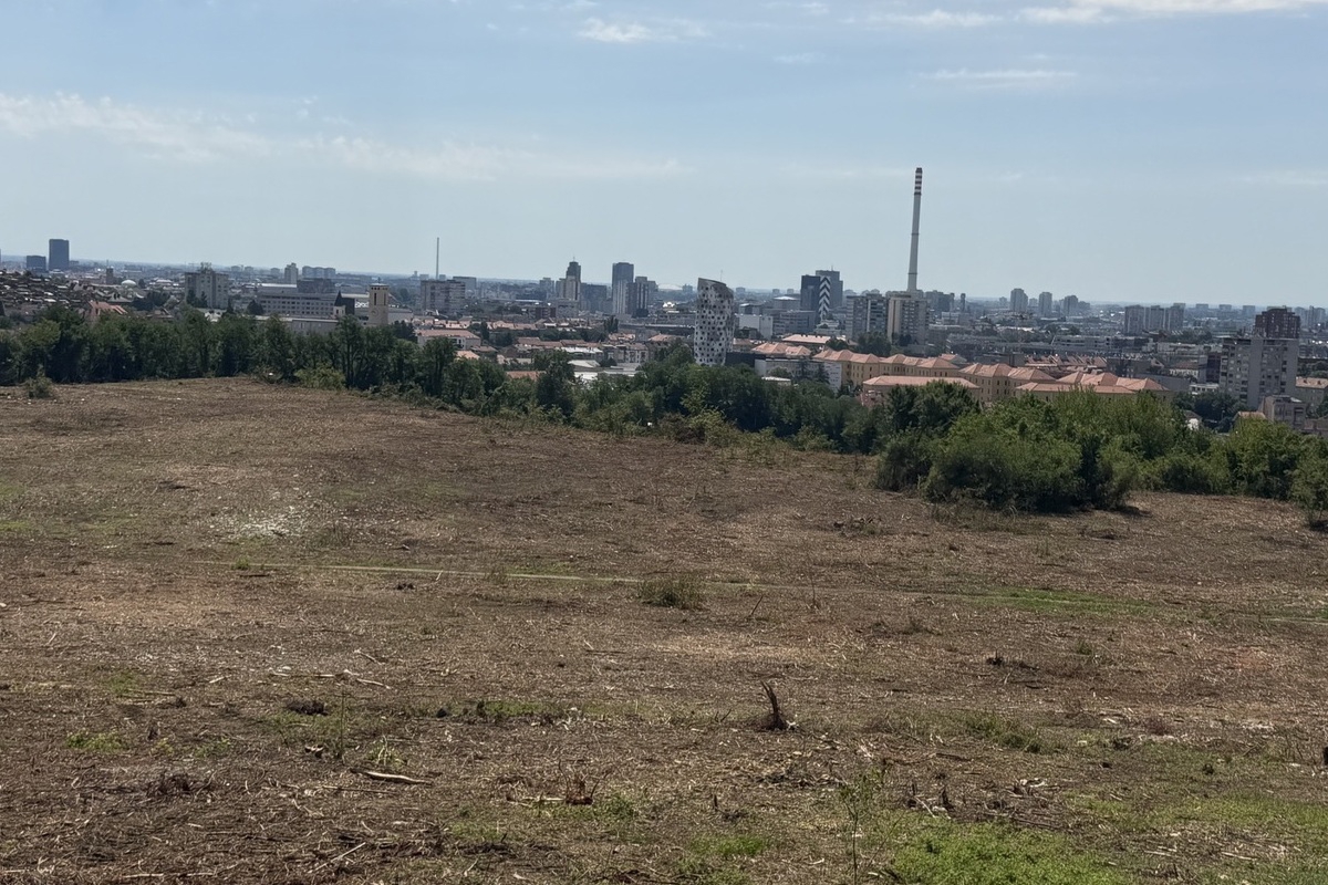 FOTO Na Mullerovu brijegu posječena stabla. Grad: Nismo izdali dozvolu za krčenje