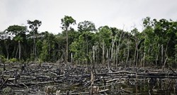 Deforestacija Amazonije u srpnju pala za 66 posto