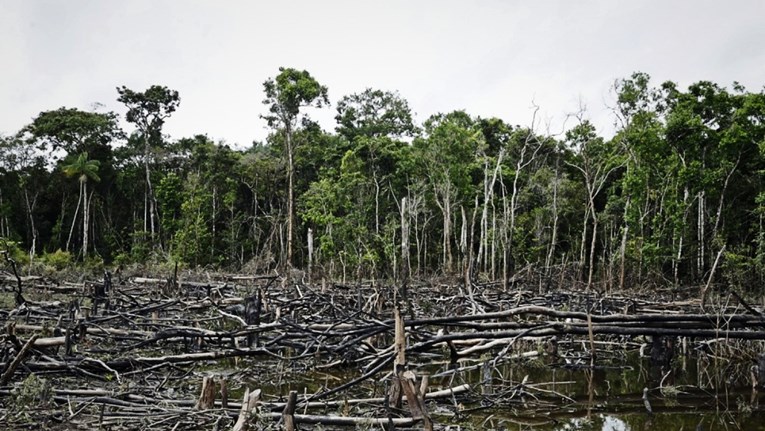 Deforestacija Amazonije u srpnju pala za 66 posto