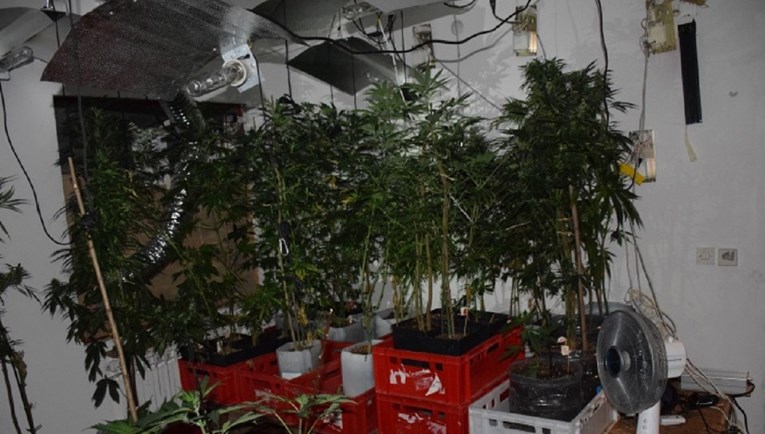 FOTO U Velikoj Gorici pao diler trave, u kući imao improvizirani laboratorij