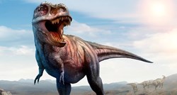 Otkriveno zašto je T-Rex imao male ruke