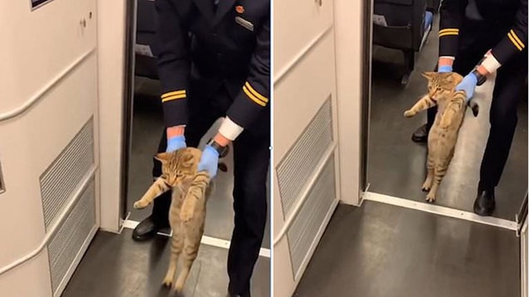 Mačku izbacili iz vlaka nakon što ju je kontrola uhvatila bez karte