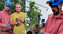 Alpinisti zagrebačke katedrale spasili mačića koji se zaglavio u cijevi