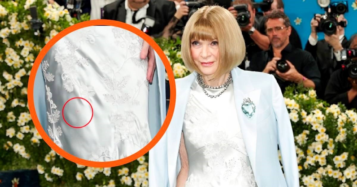 Anna Wintour snimljena na Met Gali s mrljom na haljini, ljudi: Netko će dobiti otkaz