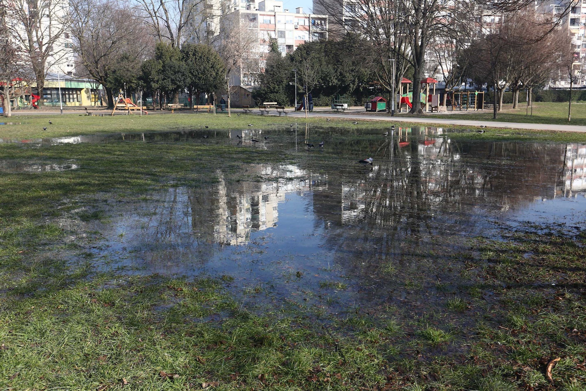 FOTO Park U Novom Zagrebu Poplavljen, Pukla Je Cijev, Nema Pitke Vode ...