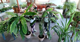 Zagrebački botanički vrt prodaje višak biljaka po super cijenama od 10 do 200 kuna