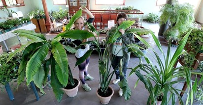 Zagrebački botanički vrt prodaje višak biljaka po super cijenama od 10 do 200 kuna