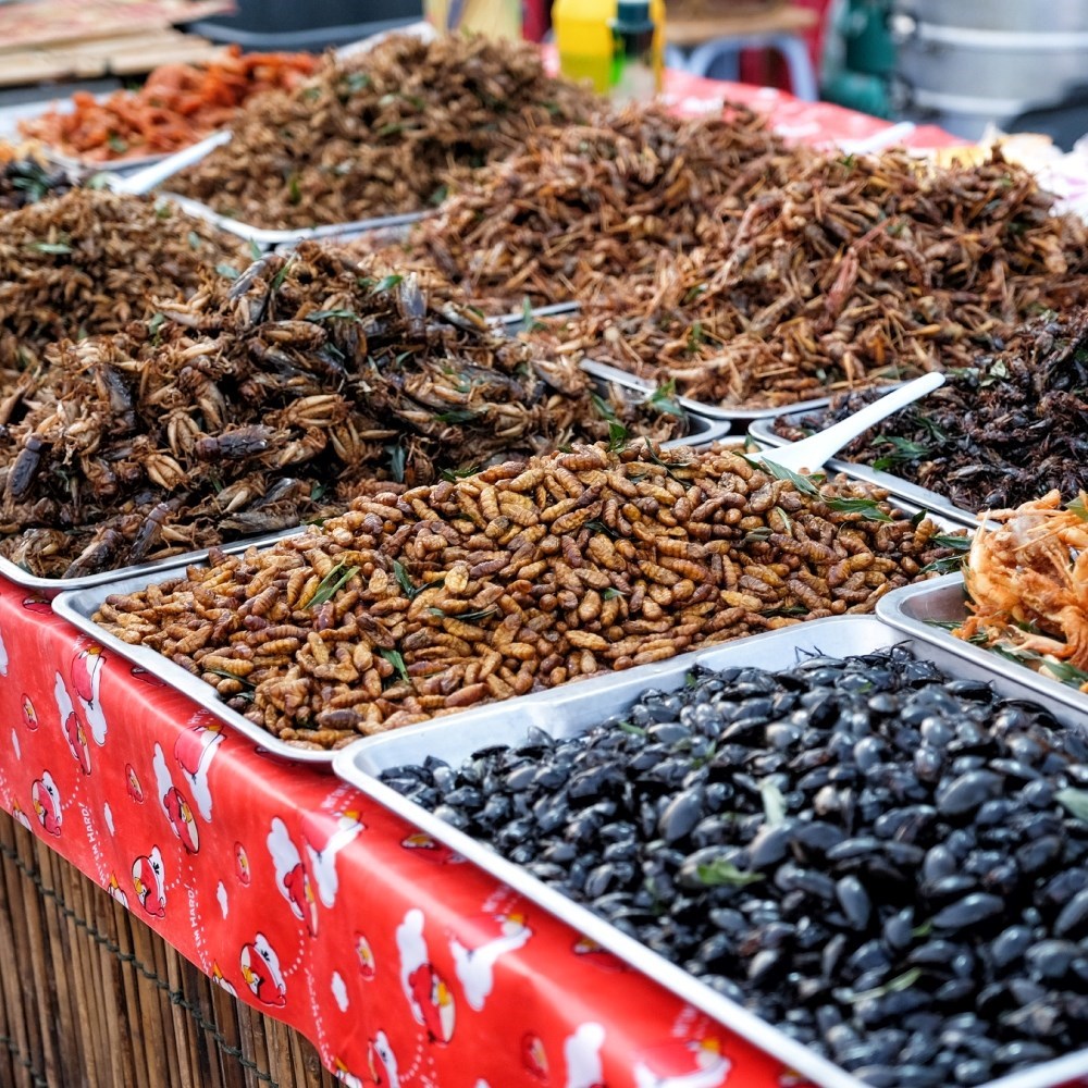 Sve više zemalja odobrava insekte kao hranu, a posljednja među njima je Singapur
