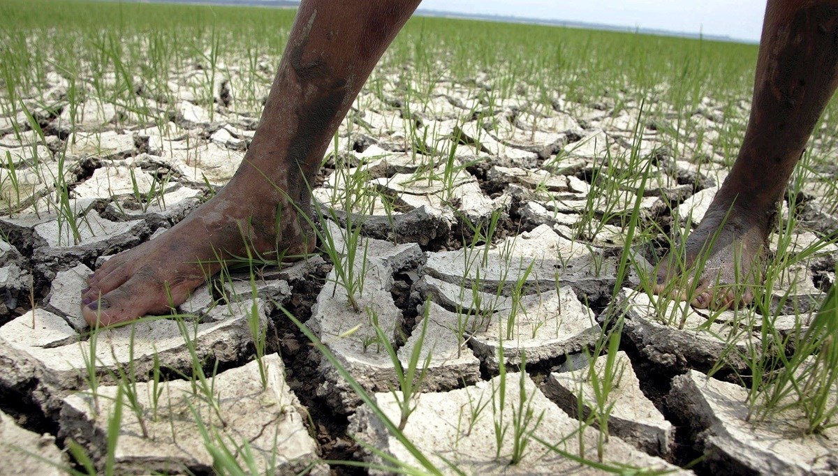 Rekordna suša pogodila Amazoniju. "Glavni uzrok su klimatske promjene"