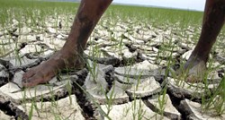 Istraživanje: Klimatske promjene su glavni uzrok rekordne suše u Amazoniji