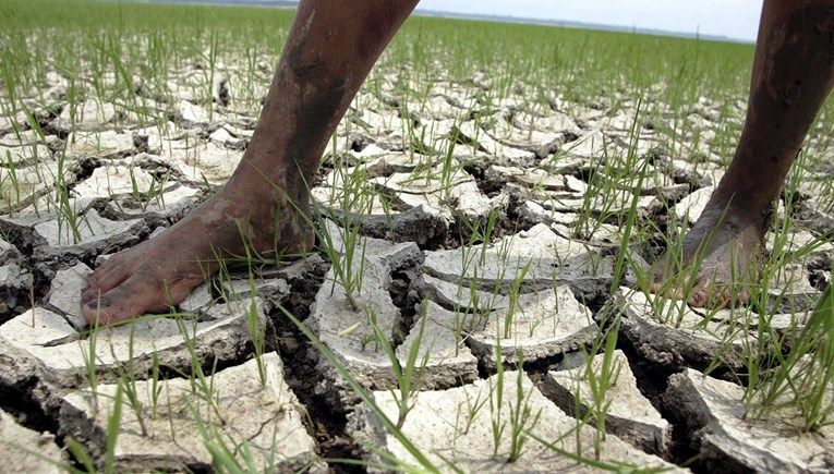 Rekordna suša pogodila Amazoniju. "Glavni uzrok su klimatske promjene"