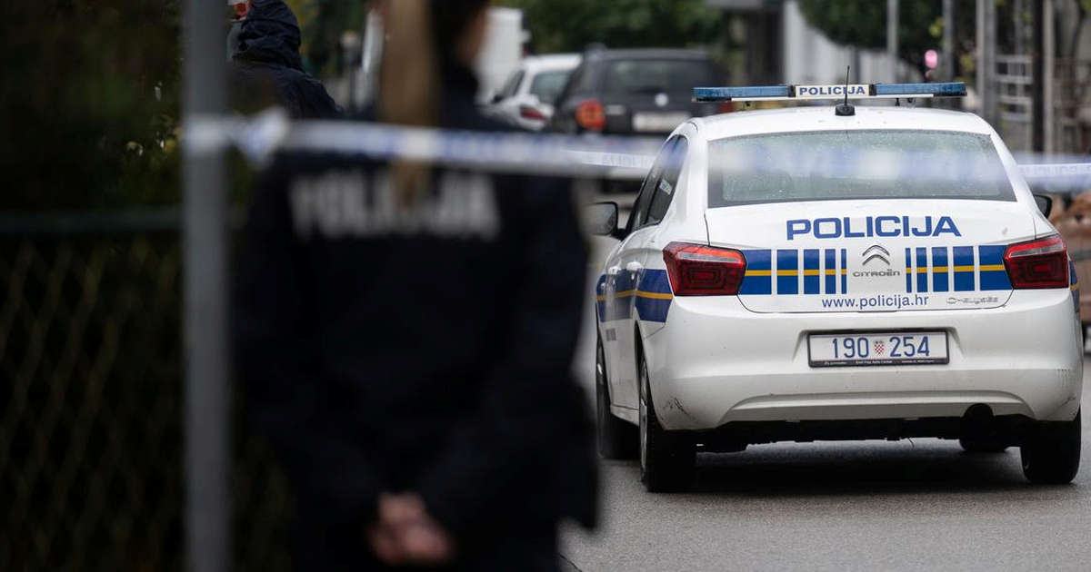 Mladić čekićem izudarao ženu po glavi, skoro ju ubio. Bio je evidentirani zlostavljač