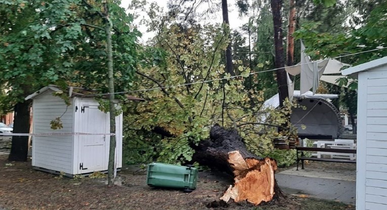 Nevrijeme u Bjelovaru. Vjetar čupao stabla, dijelovi grada pod vodom