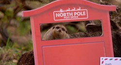 VIDEO Merkati u zoološkom vrtu Whipsnade poslali listu želja Djedu Božićnjaku