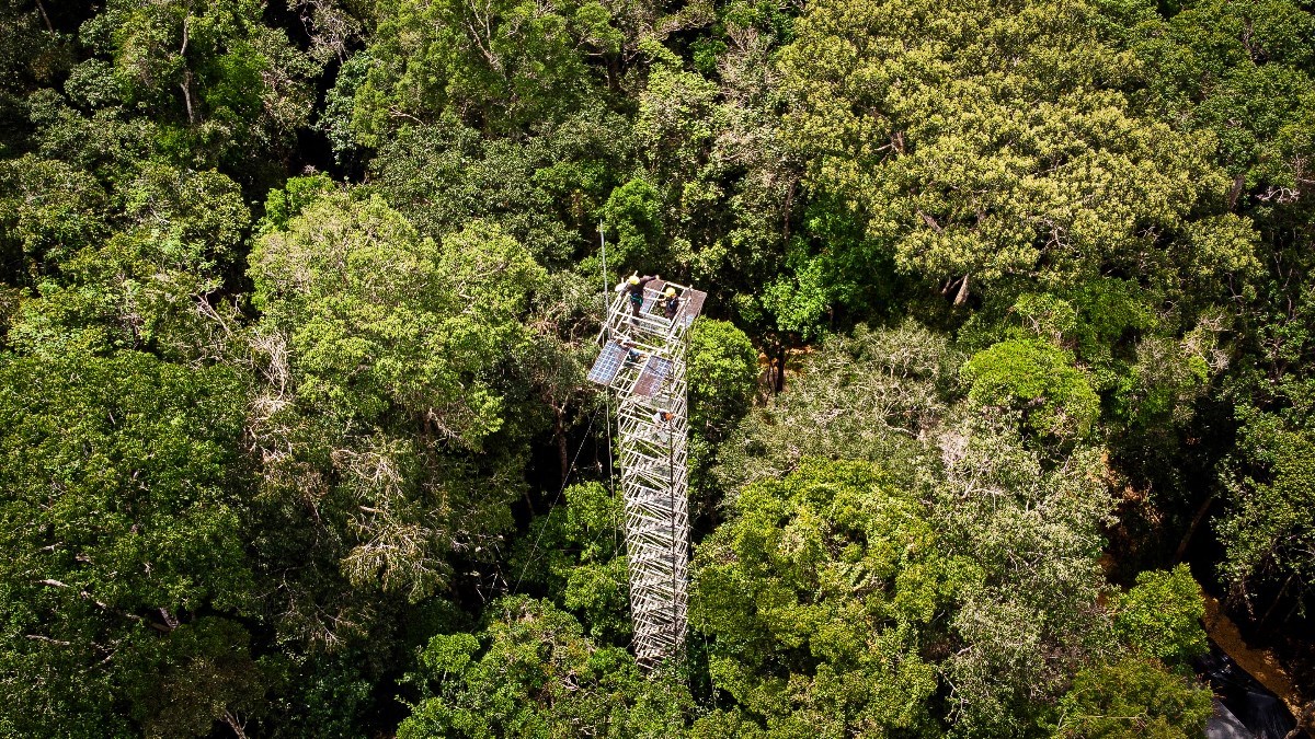 Deforestacija u Amazoniji pala za 31 posto otkako Bolsonaro nije predsjednik