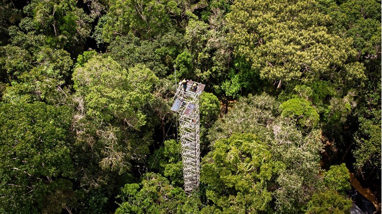 Brazilski predsjednik objavio plan za zaustavljanje sječe šuma u Amazoniji do 2030.