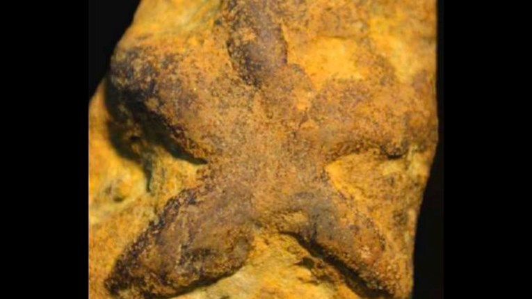 FOTO Znanstvenici: Ovaj čudni "fosil" nije nastao od drevnih živih bića
