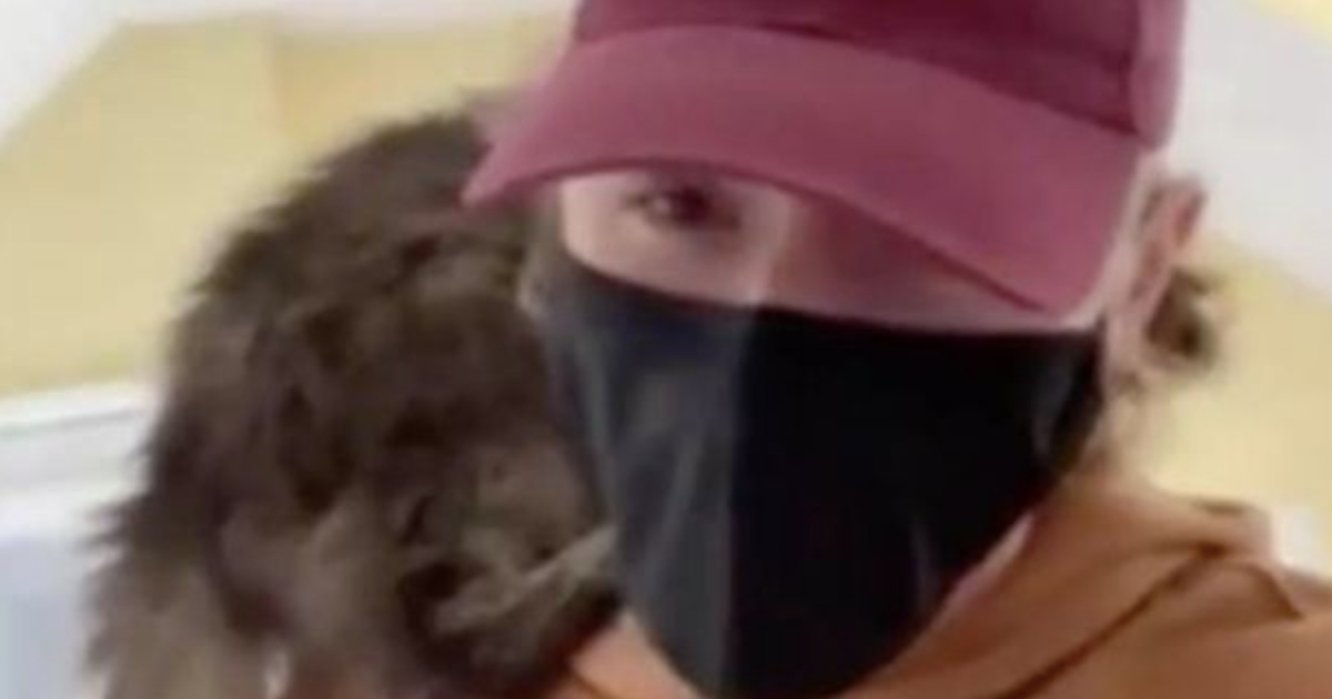 Muškarac došao u sklonište izabrati mačku, ali ono što se dogodilo nije očekivao
