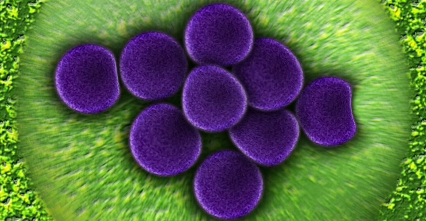 Otkriven novi zastrašujući način razvoja otpornosti bakterija na antibiotike